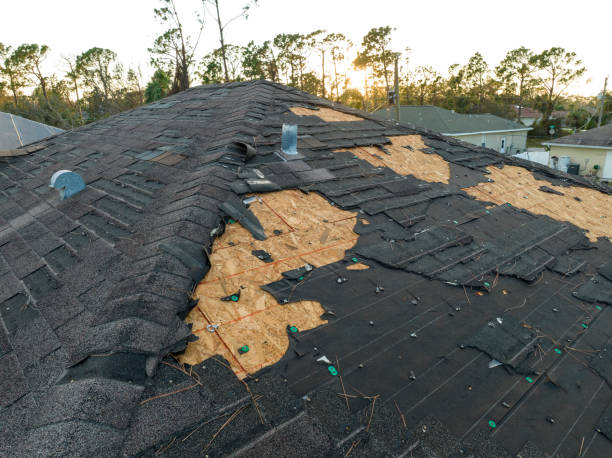 Trusted Rio Grande City, TX  Roofing repair and installation Experts